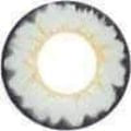 Vassen Butterfly Gray