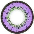 Vassen Kirei Violet